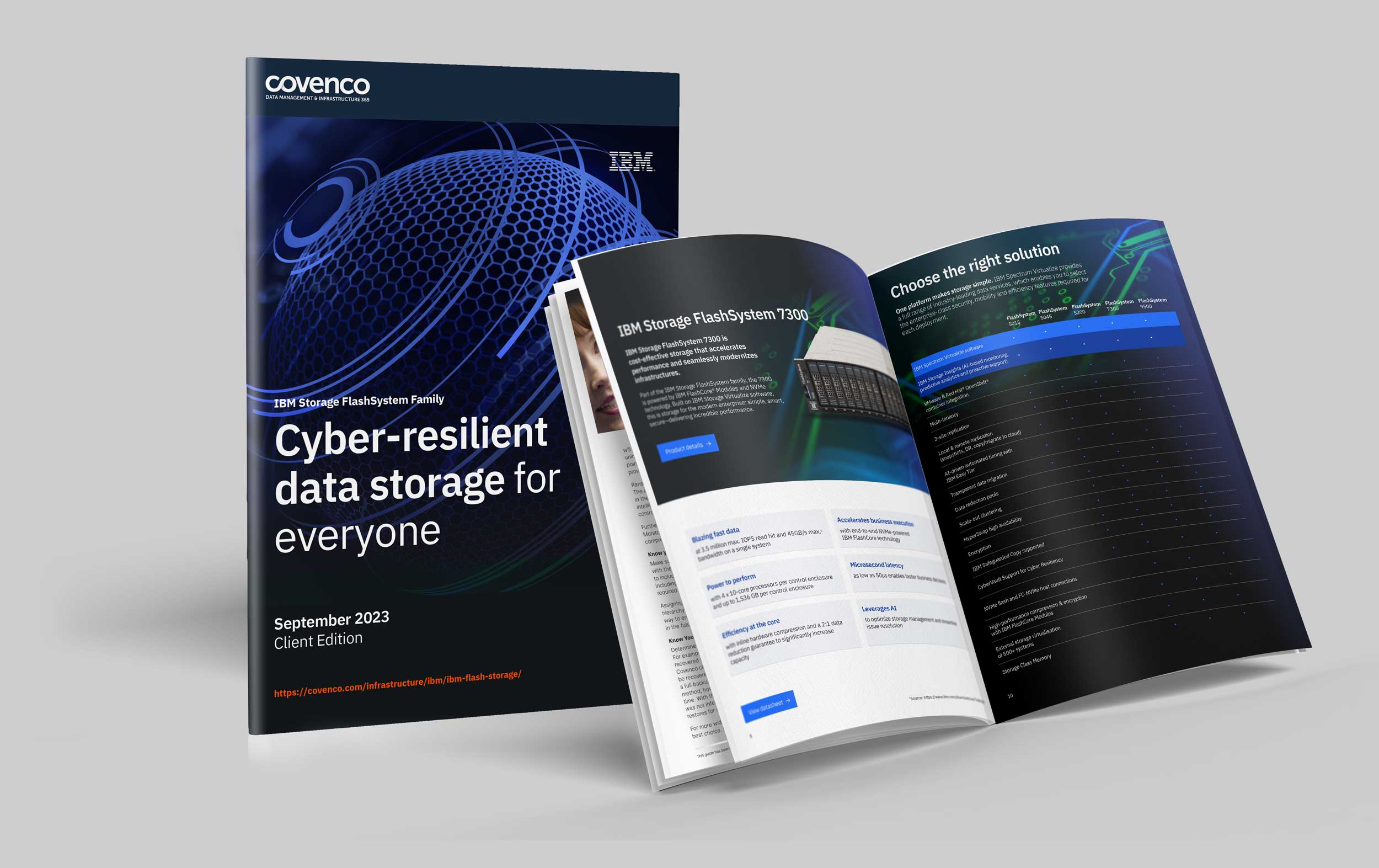 IBM FlashSystem eBook Perspective from Covenco