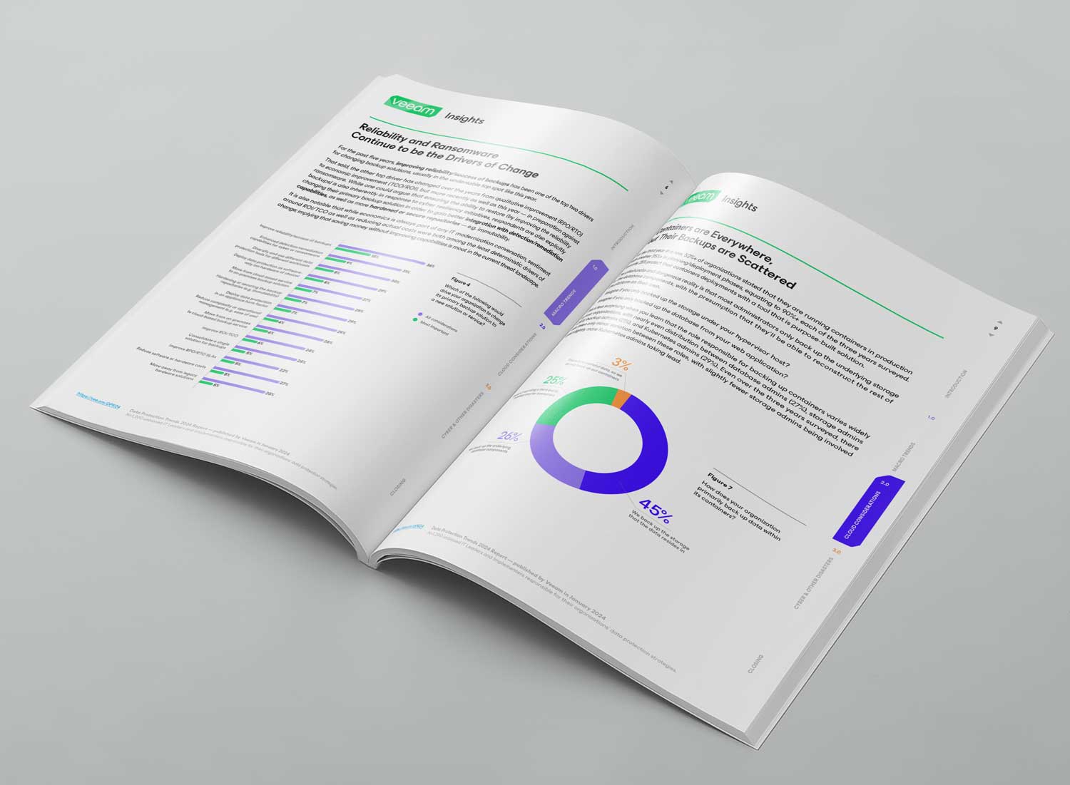 Veeam Data Protection Report